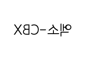KPOP idol EXO-CBX Printable Hangul fan sign, fanboard resources for light sticks Reversed