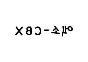 KPOP idol EXO-CBX Printable Hangul Fansign concert board resources Reversed