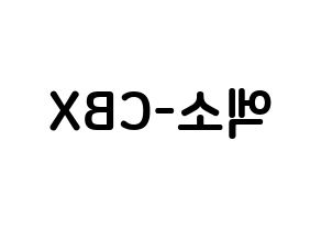 KPOP idol EXO-CBX How to write name in English Reversed