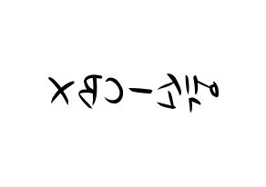 KPOP idol EXO-CBX Printable Hangul fan sign, concert board resources for light sticks Reversed