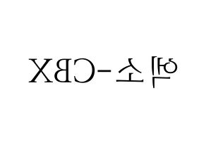 KPOP idol EXO-CBX Printable Hangul fan sign & concert board resources Reversed