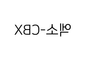 KPOP idol EXO-CBX Printable Hangul fan sign, fanboard resources for LED Reversed