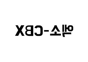 KPOP idol EXO-CBX Printable Hangul fan sign & fan board resources Reversed