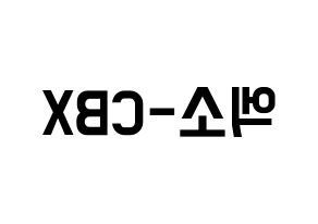 KPOP idol EXO-CBX Printable Hangul Fansign concert board resources Reversed