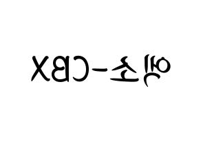 KPOP idol EXO-CBX Printable Hangul fan sign, concert board resources for light sticks Reversed