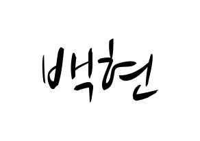KPOP idol EXO  백현 (Byun Baek-hyun, Baekhyun) Printable Hangul name fan sign, fanboard resources for concert Normal