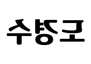 KPOP idol EXO  디오 (Do Kyung-soo, D.O.) Printable Hangul name fan sign, fanboard resources for light sticks Reversed