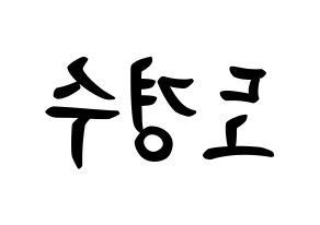 KPOP idol EXO  디오 (Do Kyung-soo, D.O.) Printable Hangul name fan sign, fanboard resources for concert Reversed
