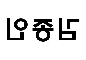 KPOP idol EXO  카이 (Kim Jong-in, Kai) Printable Hangul name fan sign & fan board resources Reversed