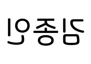 KPOP idol EXO  카이 (Kim Jong-in, Kai) Printable Hangul name Fansign Fanboard resources for concert Reversed