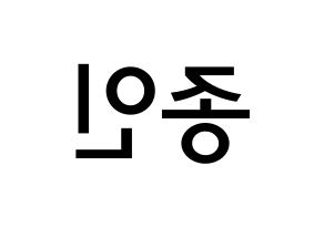 KPOP idol EXO  카이 (Kim Jong-in, Kai) Printable Hangul name Fansign Fanboard resources for concert Reversed