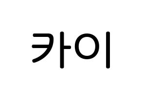KPOP idol EXO  카이 (Kim Jong-in, Kai) Printable Hangul name Fansign Fanboard resources for concert Normal