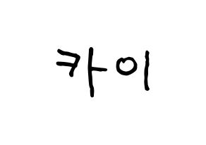 KPOP idol EXO  카이 (Kim Jong-in, Kai) Printable Hangul name fan sign, fanboard resources for concert Normal