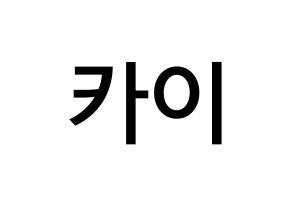 KPOP idol EXO  카이 (Kim Jong-in, Kai) Printable Hangul name Fansign Fanboard resources for concert Normal