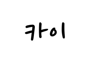 KPOP idol EXO  카이 (Kim Jong-in, Kai) Printable Hangul name fan sign, fanboard resources for LED Normal