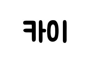 KPOP idol EXO  카이 (Kim Jong-in, Kai) Printable Hangul name fan sign & fan board resources Normal