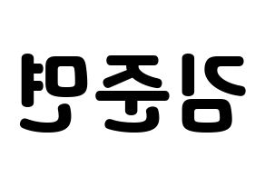 KPOP idol EXO  수호 (Kim Jun-myeon, Suho) Printable Hangul name fan sign & fan board resources Reversed