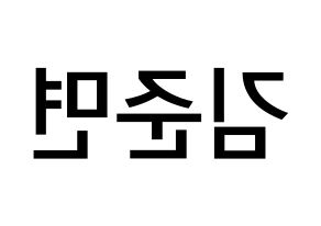KPOP idol EXO  수호 (Kim Jun-myeon, Suho) Printable Hangul name Fansign Fanboard resources for concert Reversed