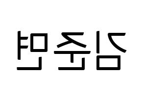 KPOP idol EXO  수호 (Kim Jun-myeon, Suho) Printable Hangul name fan sign, fanboard resources for light sticks Reversed