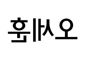 KPOP idol EXO  세훈 (Oh Se-hun, Sehun) Printable Hangul name Fansign Fanboard resources for concert Reversed