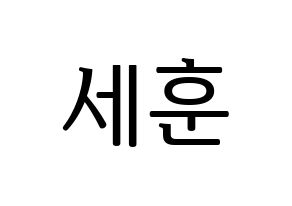 KPOP idol EXO  세훈 (Oh Se-hun, Sehun) Printable Hangul name fan sign, fanboard resources for LED Normal