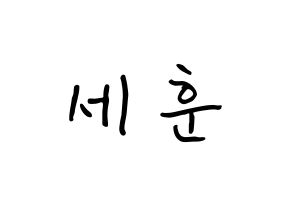 KPOP idol EXO  세훈 (Oh Se-hun, Sehun) Printable Hangul name fan sign, fanboard resources for concert Normal