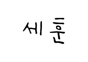 KPOP idol EXO  세훈 (Oh Se-hun, Sehun) Printable Hangul name fan sign, fanboard resources for LED Normal