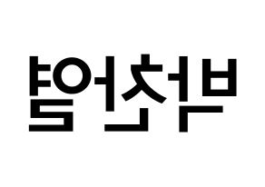 KPOP idol EXO  찬열 (Park Chan-yeol, Chanyeol) Printable Hangul name Fansign Fanboard resources for concert Reversed