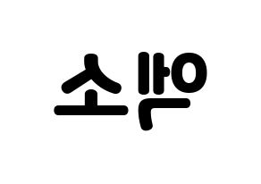 KPOP idol EXO Printable Hangul fan sign & concert board resources Reversed
