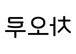 KPOP idol FIESTAR  차오루 (Cao Lu, Cao Lu) Printable Hangul name Fansign Fanboard resources for concert Reversed