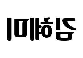 KPOP idol FIESTAR  혜미 (Kim Hye-mi, Hyemi) Printable Hangul name fan sign, fanboard resources for light sticks Reversed