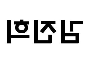 KPOP idol FIESTAR  재이 (Kim Jin-hee, Jei) Printable Hangul name fan sign & fan board resources Reversed