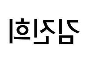 KPOP idol FIESTAR  재이 (Kim Jin-hee, Jei) Printable Hangul name Fansign Fanboard resources for concert Reversed