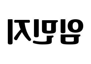 KPOP idol FIESTAR  린지 (Lim Min-ji, Linzy) Printable Hangul name fan sign, fanboard resources for light sticks Reversed