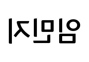 KPOP idol FIESTAR  린지 (Lim Min-ji, Linzy) Printable Hangul name fan sign, fanboard resources for concert Reversed