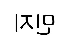 KPOP idol FIESTAR  린지 (Lim Min-ji, Linzy) Printable Hangul name Fansign Fanboard resources for concert Reversed