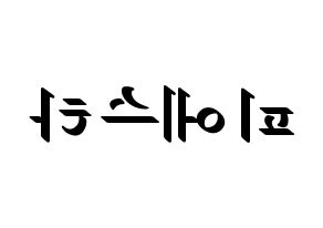 KPOP idol FIESTAR Printable Hangul fan sign, concert board resources for LED Reversed