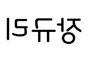 KPOP idol fromis_9  장규리 (Jang Gyu-ri, Jang Gyu-ri) Printable Hangul name Fansign Fanboard resources for concert Reversed