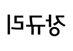 KPOP idol fromis_9  장규리 (Jang Gyu-ri, Jang Gyu-ri) Printable Hangul name Fansign Fanboard resources for concert Reversed
