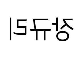 KPOP idol fromis_9  장규리 (Jang Gyu-ri, Jang Gyu-ri) Printable Hangul name fan sign, fanboard resources for light sticks Reversed