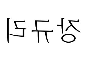 KPOP idol fromis_9  장규리 (Jang Gyu-ri, Jang Gyu-ri) Printable Hangul name fan sign & fan board resources Reversed