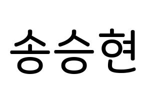 KPOP idol FTISLAND  송승현 (Song Seung-hyun, Song Seung-hyun) Printable Hangul name Fansign Fanboard resources for concert Normal