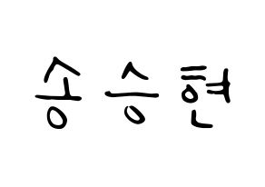 KPOP idol FTISLAND  송승현 (Song Seung-hyun, Song Seung-hyun) Printable Hangul name fan sign, fanboard resources for LED Normal