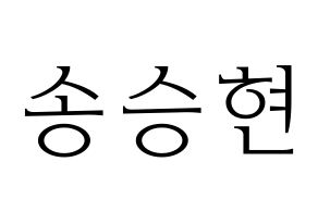 KPOP idol FTISLAND  송승현 (Song Seung-hyun, Song Seung-hyun) Printable Hangul name fan sign & fan board resources Normal