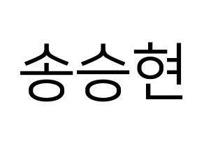 KPOP idol FTISLAND  송승현 (Song Seung-hyun, Song Seung-hyun) Printable Hangul name fan sign, fanboard resources for LED Normal