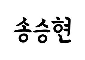 KPOP idol FTISLAND  송승현 (Song Seung-hyun, Song Seung-hyun) Printable Hangul name fan sign, fanboard resources for concert Normal