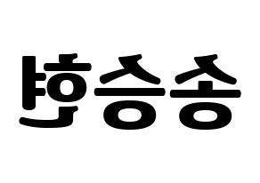 KPOP idol FTISLAND  송승현 (Song Seung-hyun, Song Seung-hyun) Printable Hangul name fan sign, fanboard resources for light sticks Reversed