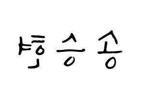 KPOP idol FTISLAND  송승현 (Song Seung-hyun, Song Seung-hyun) Printable Hangul name fan sign, fanboard resources for LED Reversed