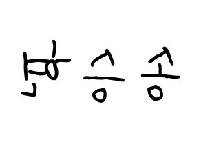 KPOP idol FTISLAND  송승현 (Song Seung-hyun, Song Seung-hyun) Printable Hangul name fan sign, fanboard resources for concert Reversed