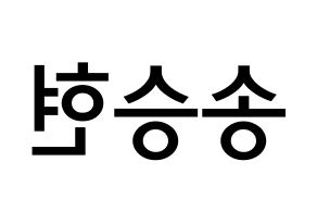 KPOP idol FTISLAND  송승현 (Song Seung-hyun, Song Seung-hyun) Printable Hangul name Fansign Fanboard resources for concert Reversed